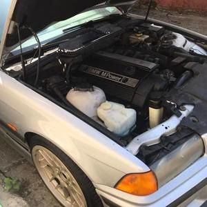 Meet your Posher, Charlee